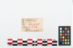 Etikett zu Bärenzahnanhänger (NHMW-PRAE-025355)